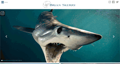 Desktop Screenshot of brianskerry.com