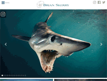 Tablet Screenshot of brianskerry.com